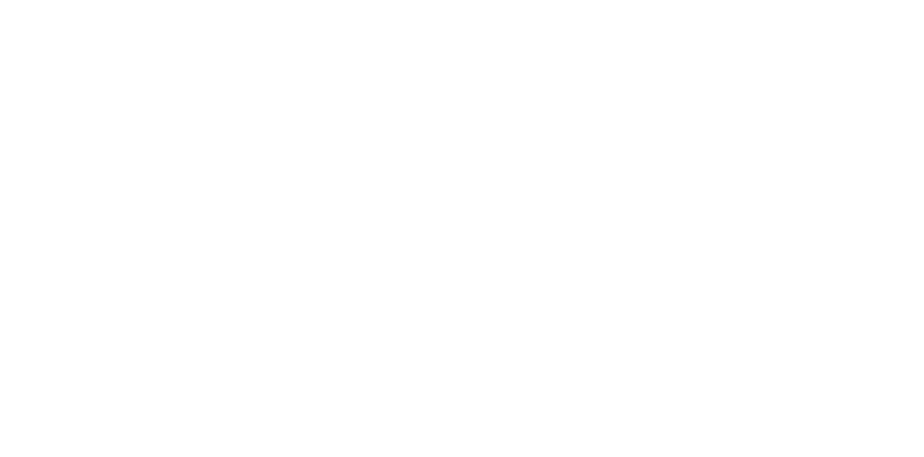 Wisliger Dorfete 2025